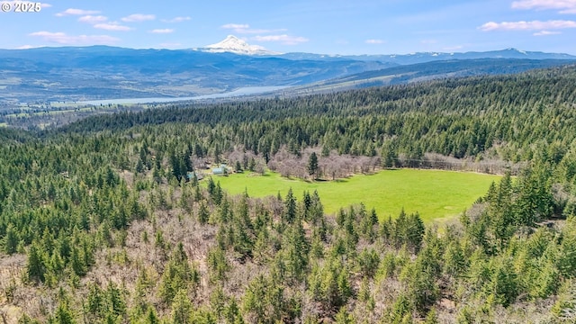 birds eye view of property featuring a mountain view