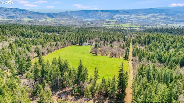 bird's eye view featuring a mountain view