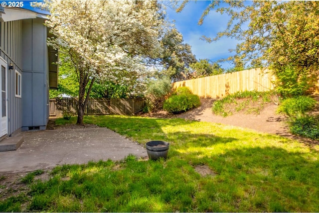 view of yard featuring a fenced backyard and a patio