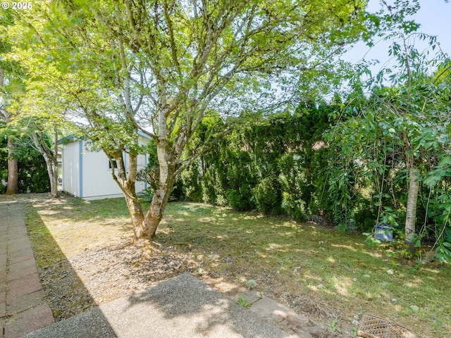 1761 SW Songbird St, Mcminnville, OR 97128 - view of yard with an outdoor structure