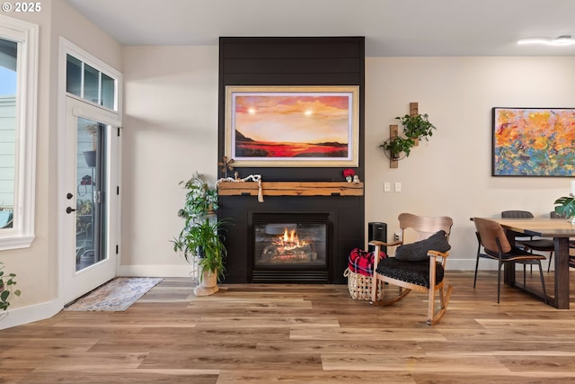 living area featuring a healthy amount of sunlight, a large fireplace, and light hardwood / wood-style flooring