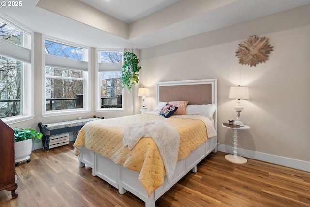 bedroom with wood-type flooring and a tray ceiling