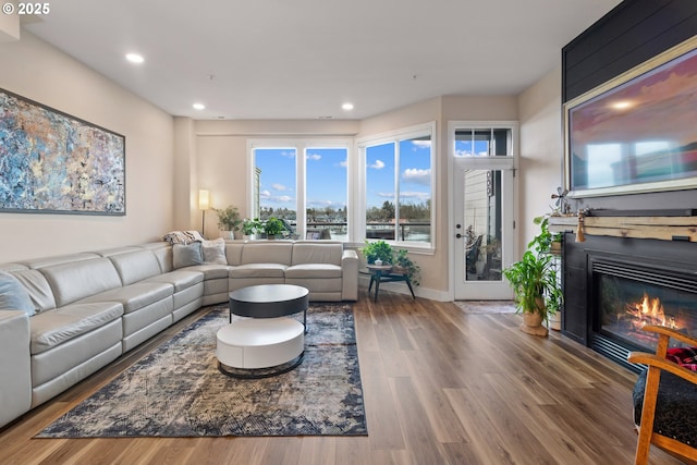 living room with wood-type flooring