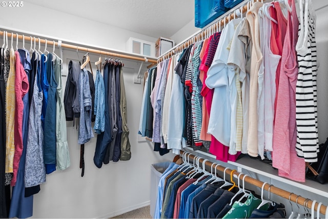 5346 NW Wickiup Way, Portland, OR 97229 - spacious closet featuring carpet flooring