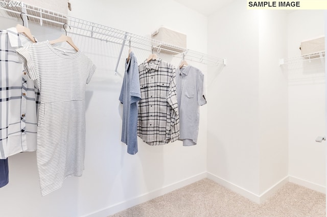 walk in closet featuring carpet floors
