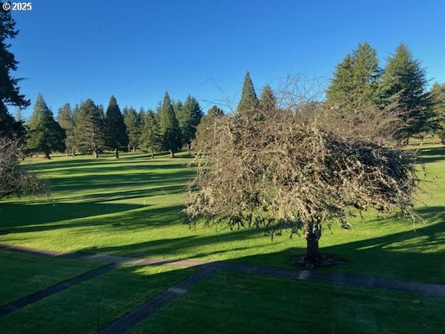 view of property's community featuring a lawn