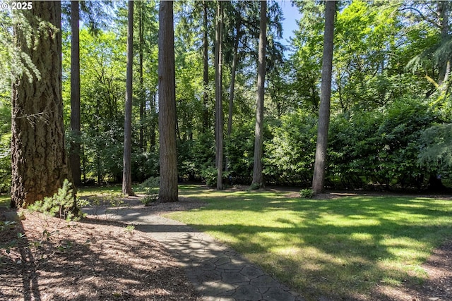 17677 Westview Dr, Lake Oswego, OR 97034 - view of grassy yard
