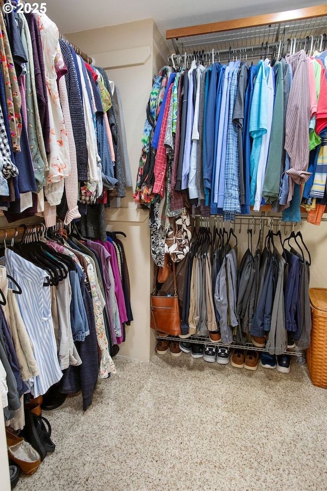 view of walk in closet