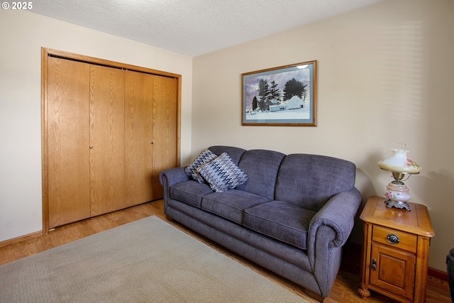 living room featuring a textured ceiling and light wood-type flooring