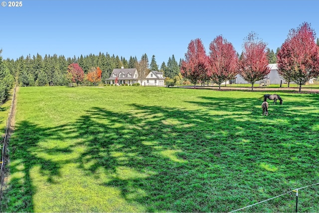 view of yard featuring a forest view