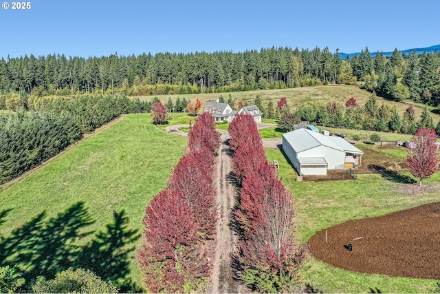 aerial view with a forest view