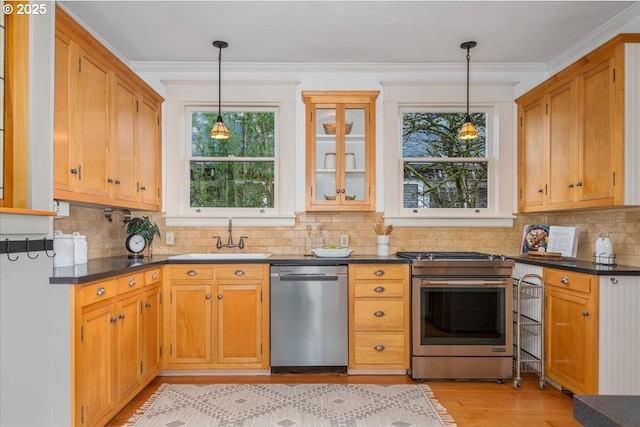 kitchen featuring sink, light hardwood / wood-style flooring, ornamental molding, appliances with stainless steel finishes, and pendant lighting