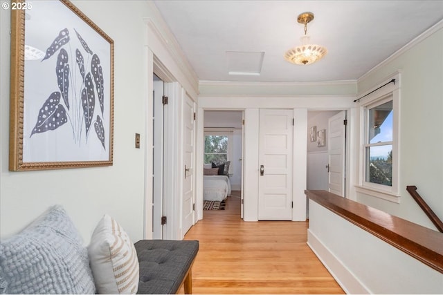 corridor with crown molding and light wood-type flooring