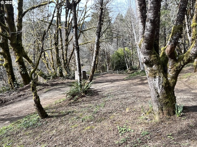 view of yard featuring a forest view