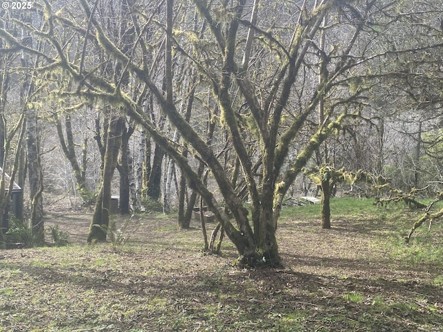 view of local wilderness