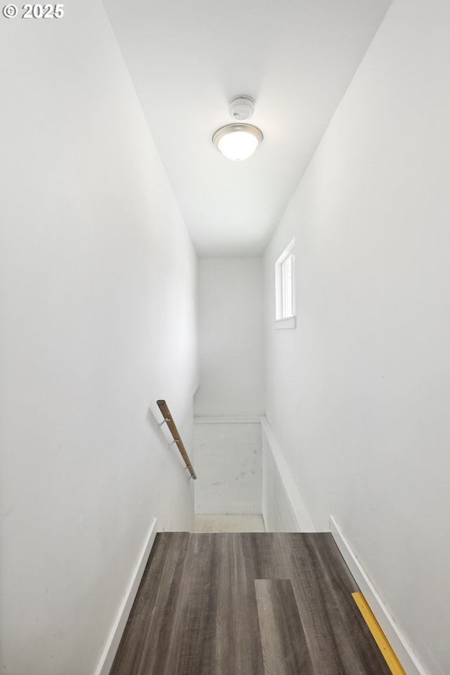 stairs featuring wood finished floors
