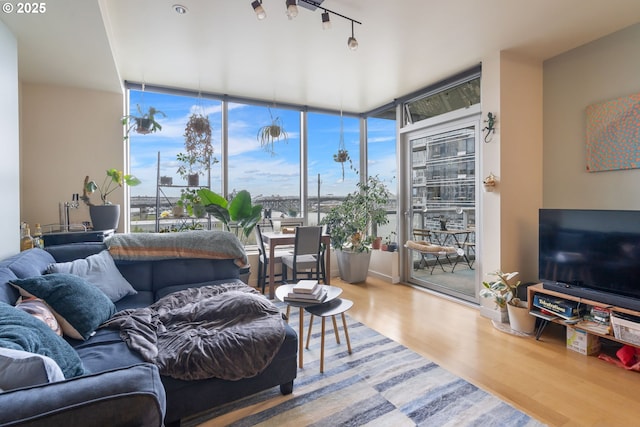 living room with expansive windows and wood finished floors