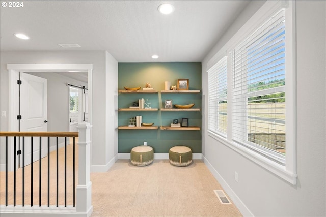 interior space featuring light carpet and a healthy amount of sunlight