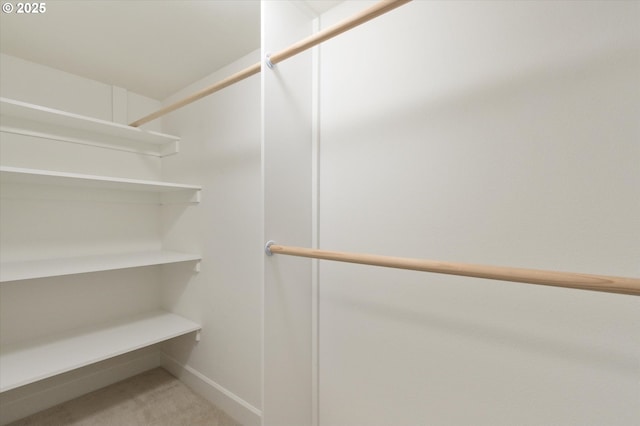 walk in closet featuring light carpet