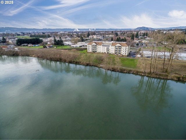 water view with a mountain view