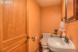 bathroom featuring a sink and toilet