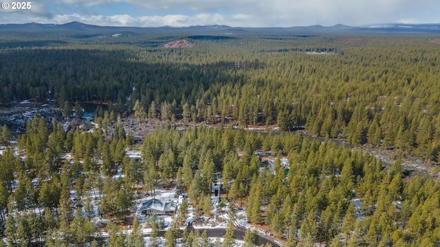 drone / aerial view with a forest view and a mountain view