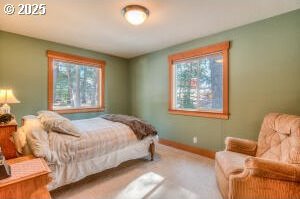 bedroom with baseboards