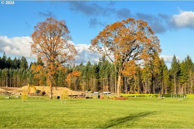 view of community featuring a lawn and a forest view