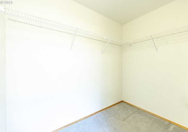 spacious closet featuring light carpet