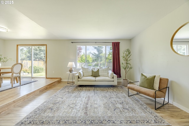 living area featuring baseboards, wood finished floors, and a wealth of natural light
