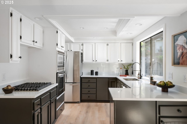 kitchen with light countertops, white cabinetry, a tray ceiling, a sink, and stainless steel appliances