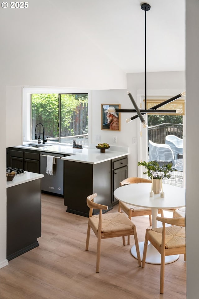 kitchen with a sink, light wood-style floors, light countertops, dark cabinets, and dishwasher