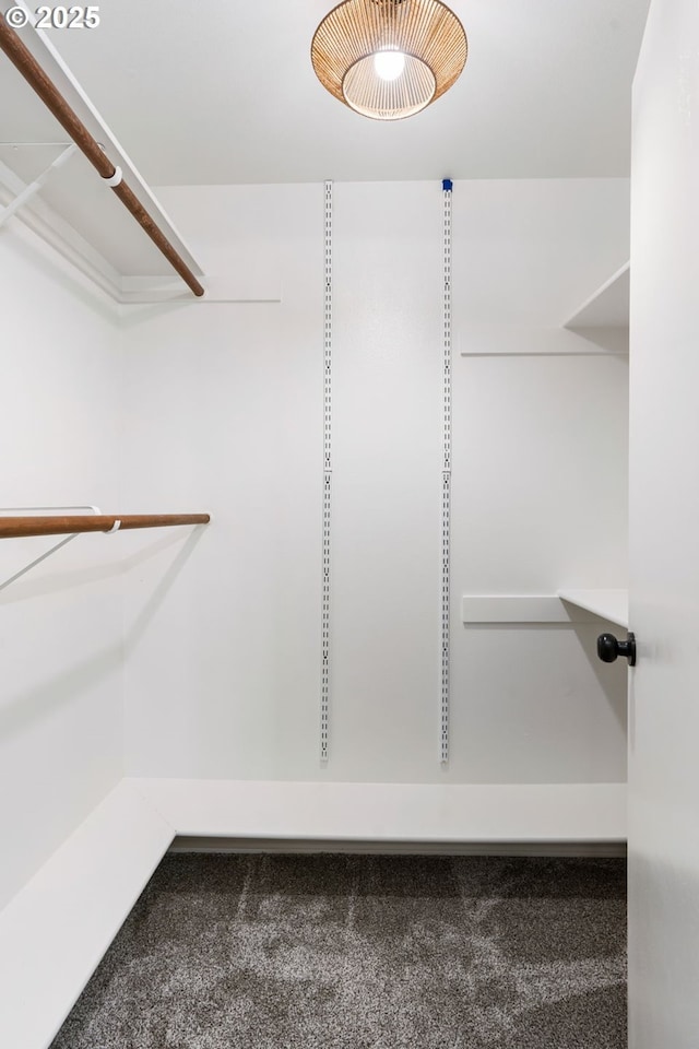 walk in closet with carpet floors
