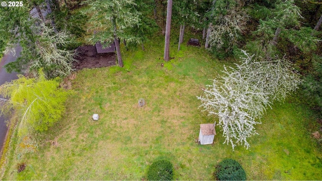 29652 Lusk Rd, Eugene, OR 97405 - drone / aerial view
