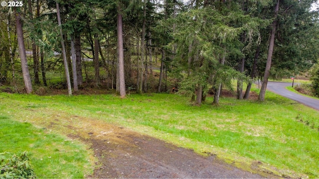 29652 Lusk Rd, Eugene, OR 97405 - view of road featuring a view of trees