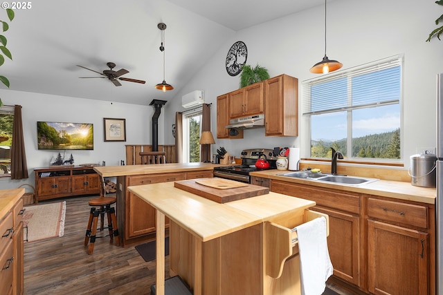 kitchen featuring a sink, a wood stove, under cabinet range hood, stainless steel electric stove, and butcher block counters