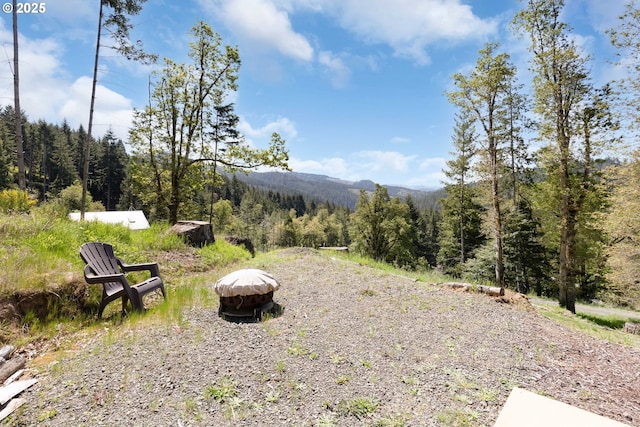 view of yard with a view of trees