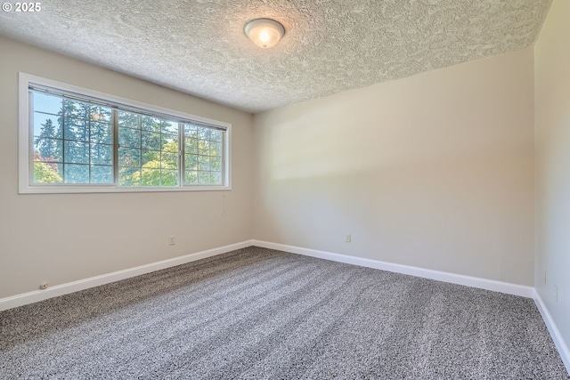16127 NE Caples Rd, Brush Prairie, WA 98606 - carpeted spare room with a textured ceiling