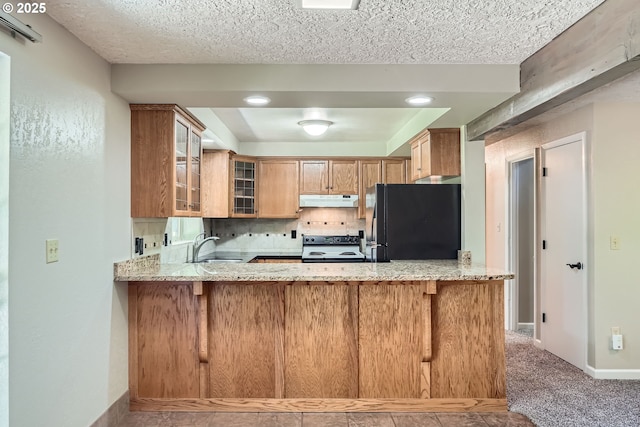16127 NE Caples Rd, Brush Prairie, WA 98606 - kitchen featuring freestanding refrigerator, under cabinet range hood, electric stove, light stone countertops, and a textured ceiling