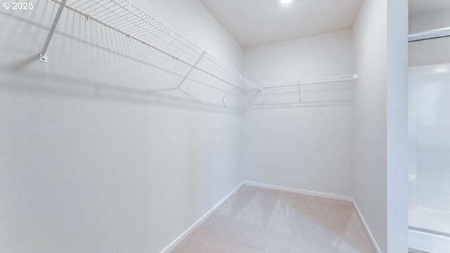 247 Stella St, Salem, OR 97301 - spacious closet featuring carpet flooring
