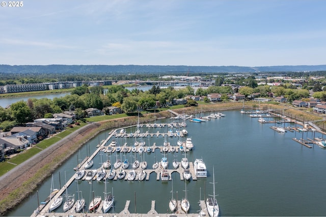 aerial view of numerous boat docks and a large body of water