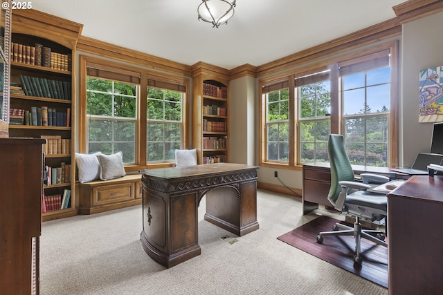 24800 SW Big Fir Rd, West Linn, OR 97068 - office with light carpet and built in features