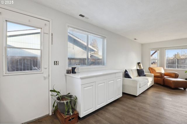 living room featuring dark hardwood / wood-style floors and a healthy amount of sunlight