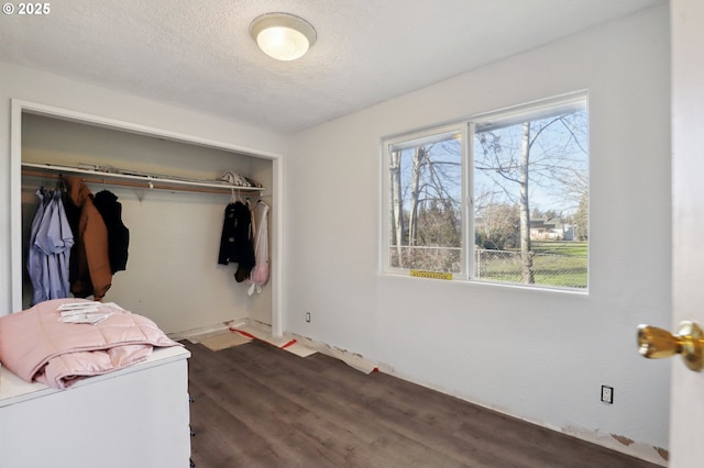 interior space featuring dark wood-type flooring, a textured ceiling, and a closet