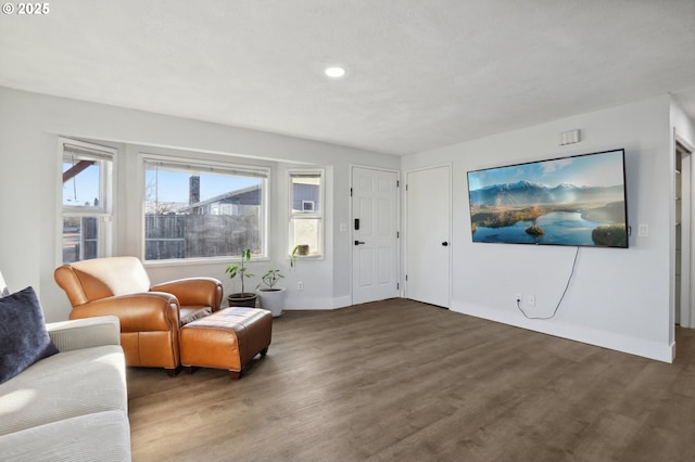 living room with dark hardwood / wood-style flooring and a wealth of natural light