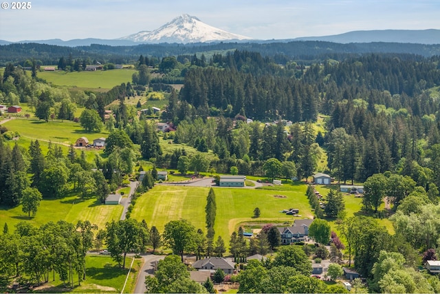 22961 SE Filbert Rd, Eagle Creek, OR 97022 - aerial view of mountains and a forest