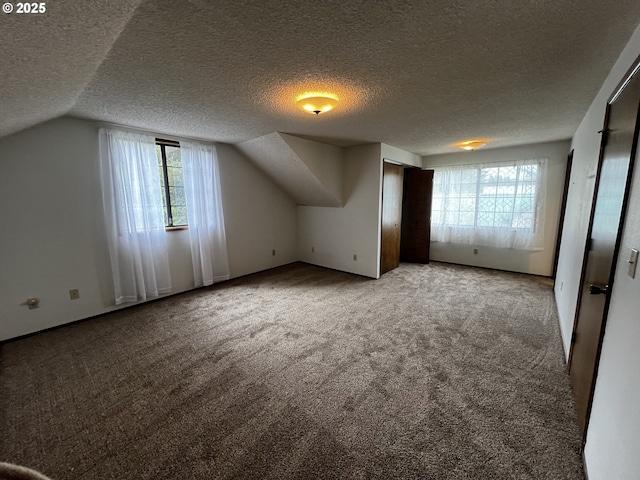 1011 Heather Ct, Reedsport, OR 97467 - additional living space with carpet flooring, vaulted ceiling, and a textured ceiling