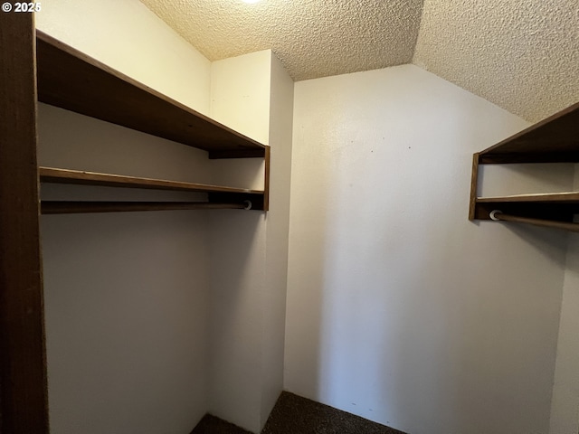 1011 Heather Ct, Reedsport, OR 97467 - walk in closet featuring lofted ceiling