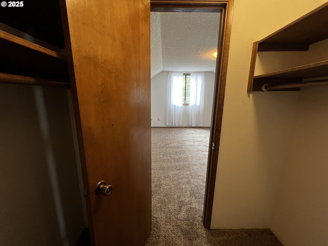 1011 Heather Ct, Reedsport, OR 97467 - spacious closet featuring carpet flooring and vaulted ceiling