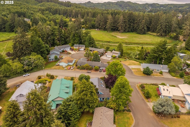 1011 Heather Ct, Reedsport, OR 97467 - drone / aerial view of a forest and a mountainous background